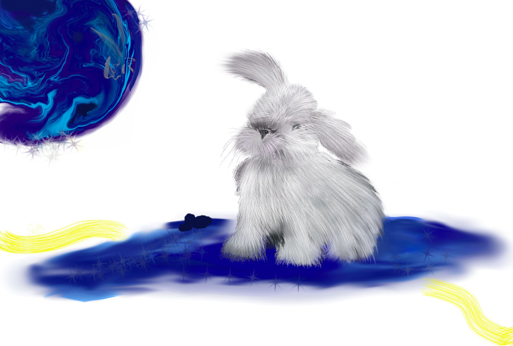 Le petit paquet bleu lapin