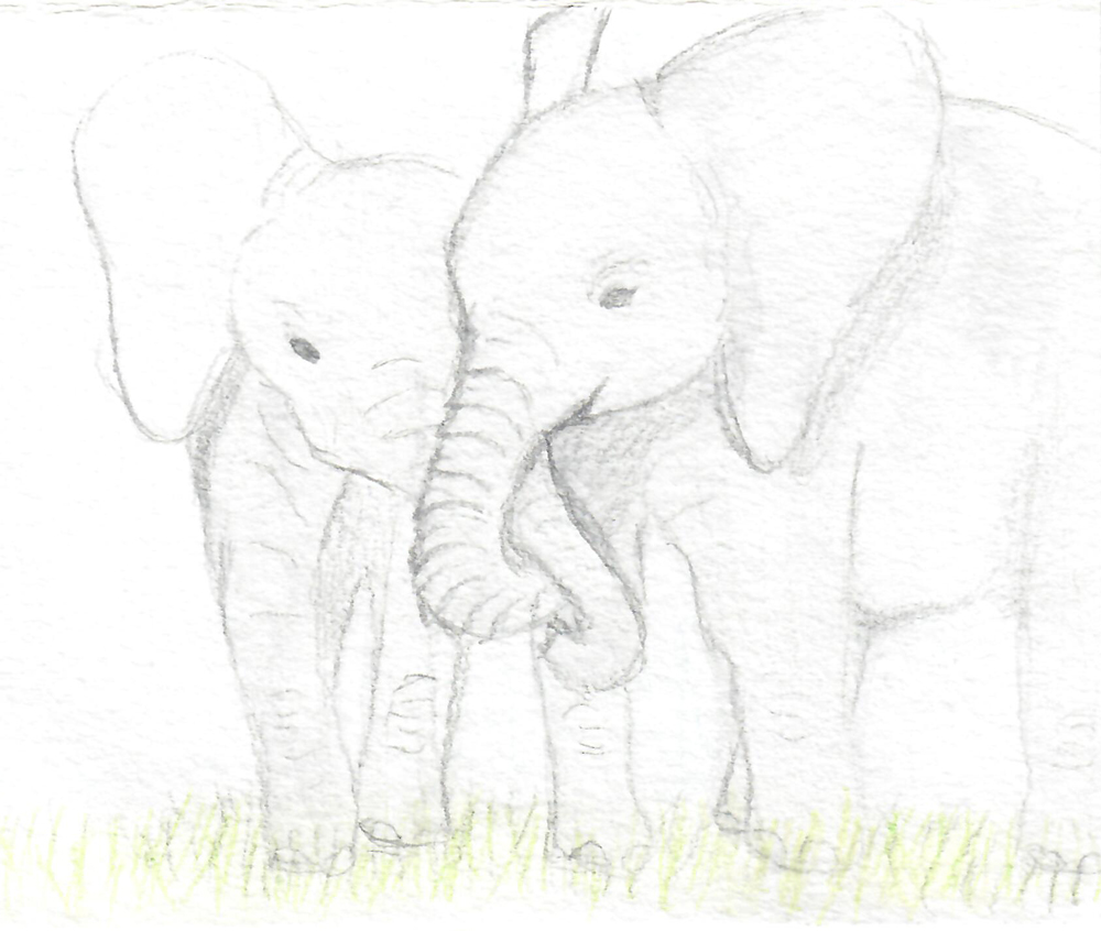 Les elephants