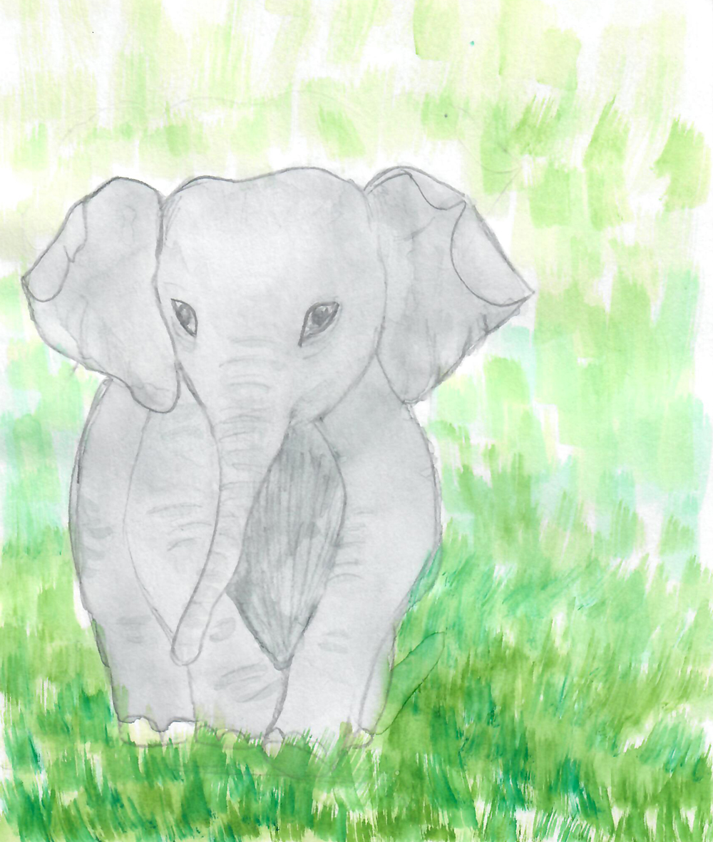 Les elephants2